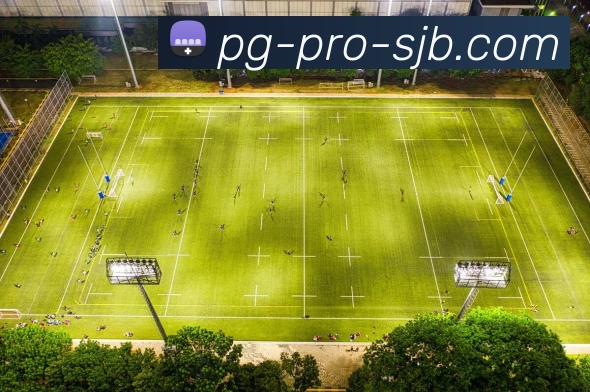 PG电子，PG电子官网，PG电子官方网站，PG电子入口，PG电子APP服务体系